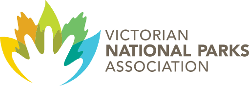 Company Name logo
